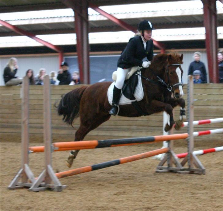 New Forest Hunter - i langesø billede 7