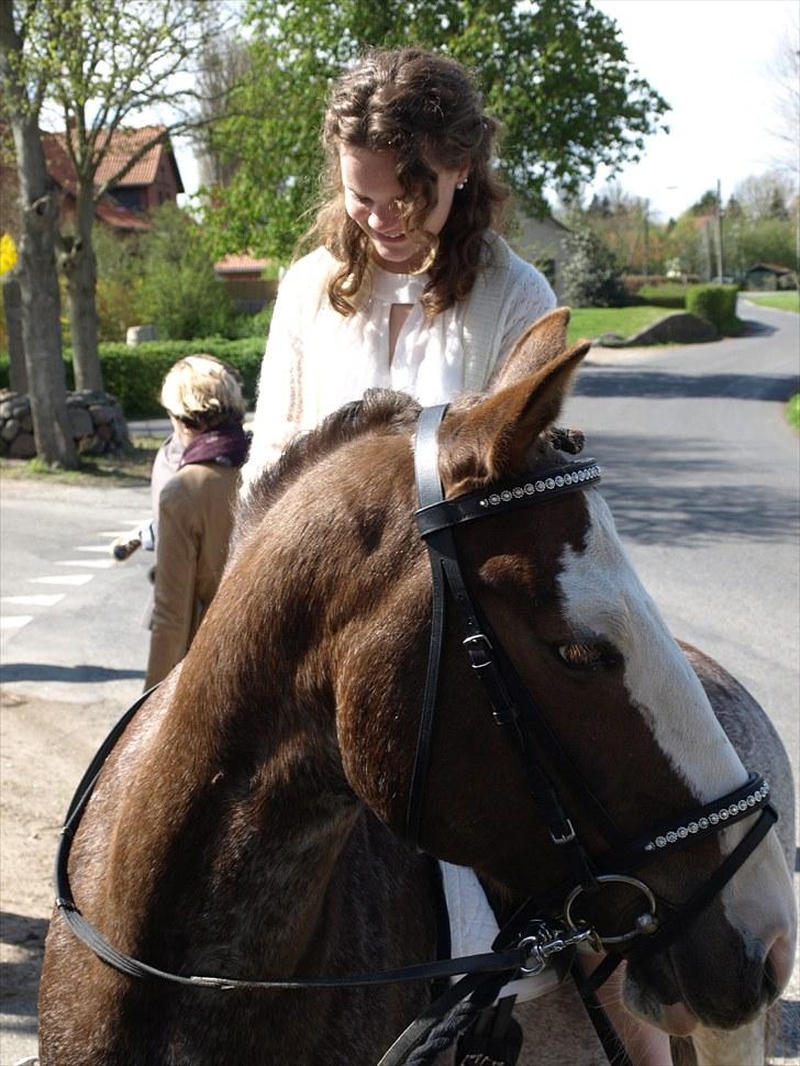 Anden særlig race Snoopy Solgt <3 - Min konfirmation 2010 :-) billede 3