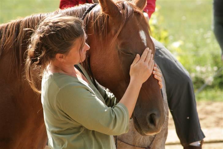 Fuldblod (XX) Mayday - ridelejr 2008 billede 15