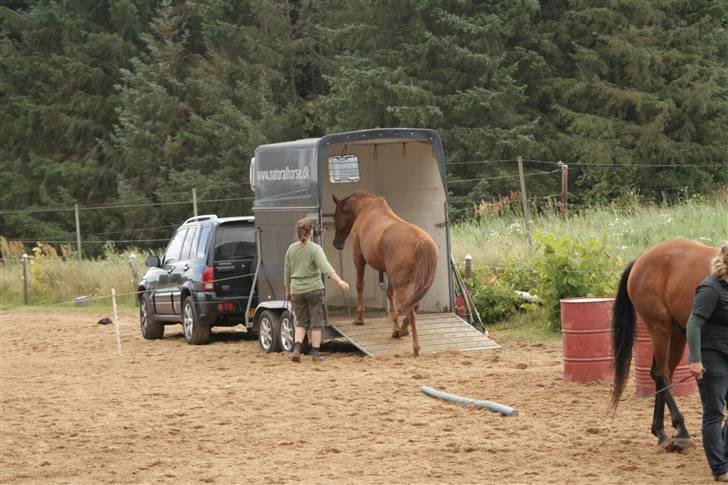 Fuldblod (XX) Mayday - ridelejr 2008 billede 16