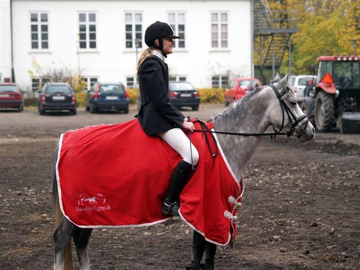 Anden særlig race M.L.'s Grace (solgt) - en lille hyggestund billede 20