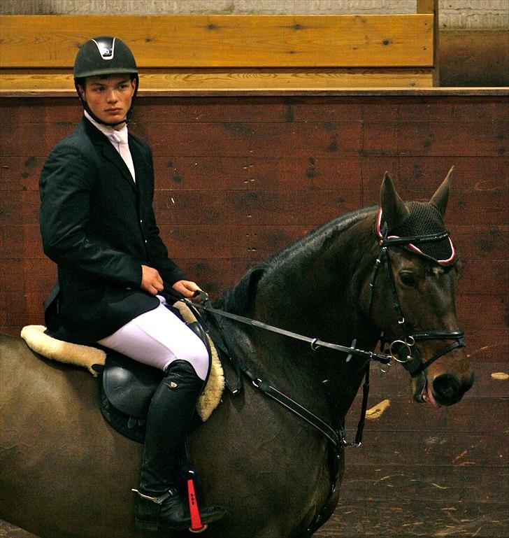 Holstener Orchidee billede 3