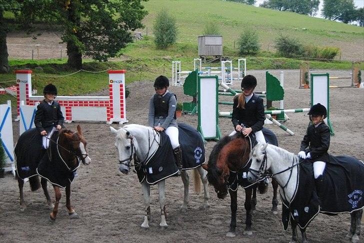 Irsk Sportspony Ballingown lad - distriktmesterskaberne  for hold hvor vi vandt ! - Holdet var: Christine Bip Bip, Lucia Farina, Celeste Elvis Pony og Mig på Ballingown Lad billede 2