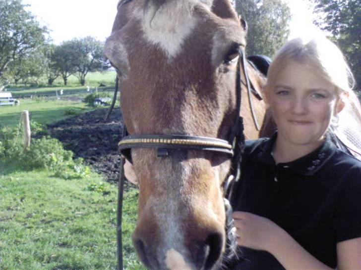 Anden særlig race Junior R.I.P - Den sidste ridetur hvor han kunne jorde billede 11