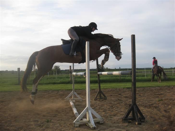 Dansk Varmblod Dia Sasja *LÅNT* *R.I.P* - Billede 5: Taget d. 27/5-09. Springtræning. Springer her 110 cm = LB billede 5