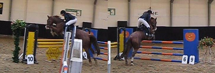 Dansk Varmblod Dia Sasja *LÅNT* *R.I.P* - Billede 7: 2 spring fra LC i Ballerup, som jeg vandt. Taget fra video! Derfor dårlig kvalitet billede 7