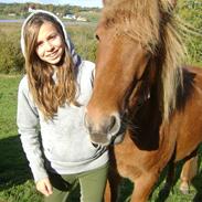 Islænder Tyra fra Bundgaarden