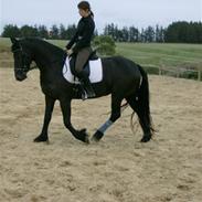 Frieser Ilja Varla J 