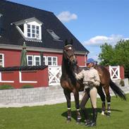 Hannoveraner Chienuc Navar