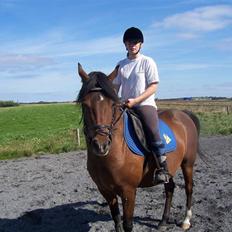 Anden særlig race Gazon solgt:'(:'(