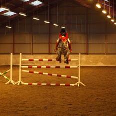 Knabstrupper Abigail af Snevren  