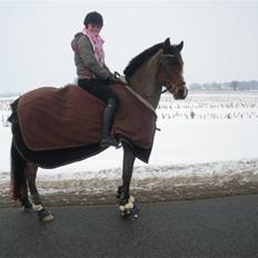 Anden særlig race Topaze's Almira Dream<3