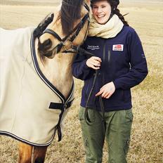 Anden særlig race Shanon B-pony