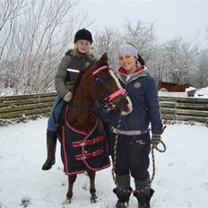 Anden særlig race Magnifique <3 SOLGT!