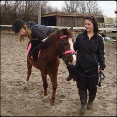 Anden særlig race Magnifique <3 SOLGT!