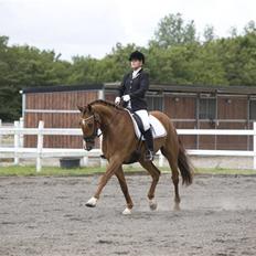 Anden særlig race Catwalk - rip :'/