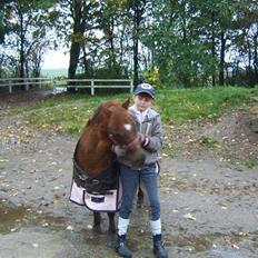 Anden særlig race Freja (rider)