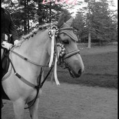 Anden særlig race Duet- min stjerne<3