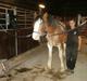 Clydesdale Goodsburn Lady Jane (RIP)