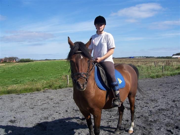 Anden særlig race Gazon solgt:'(:'( billede 3