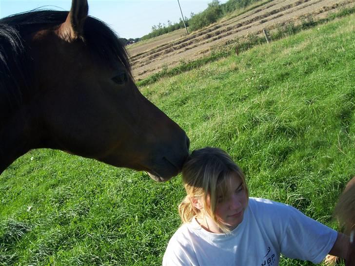 Anden særlig race Gazon solgt:'(:'( billede 8