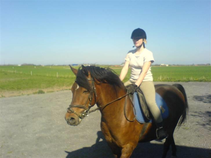 Anden særlig race Gazon solgt:'(:'( billede 12