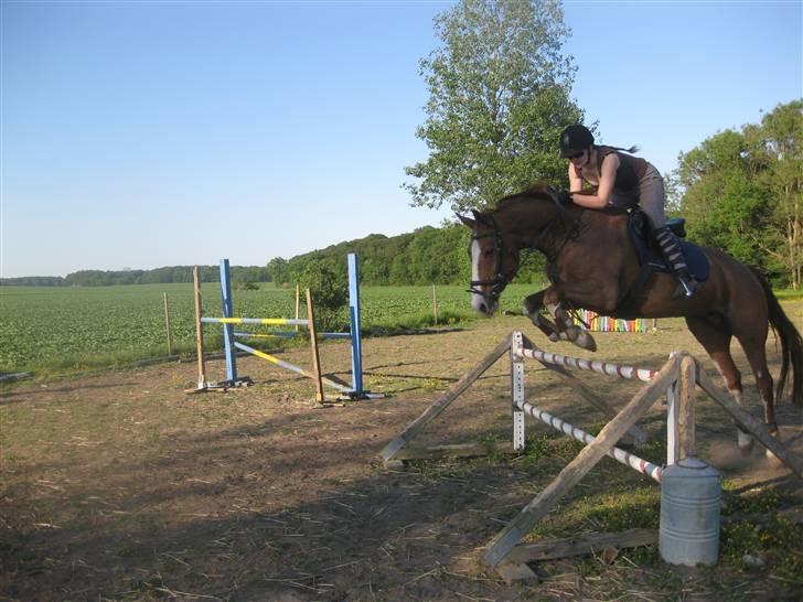 Dansk Varmblod Dia Sasja *LÅNT* *R.I.P* - Billede 14: Taget d. 1/6-09. Springer her 90 cm = LD billede 14