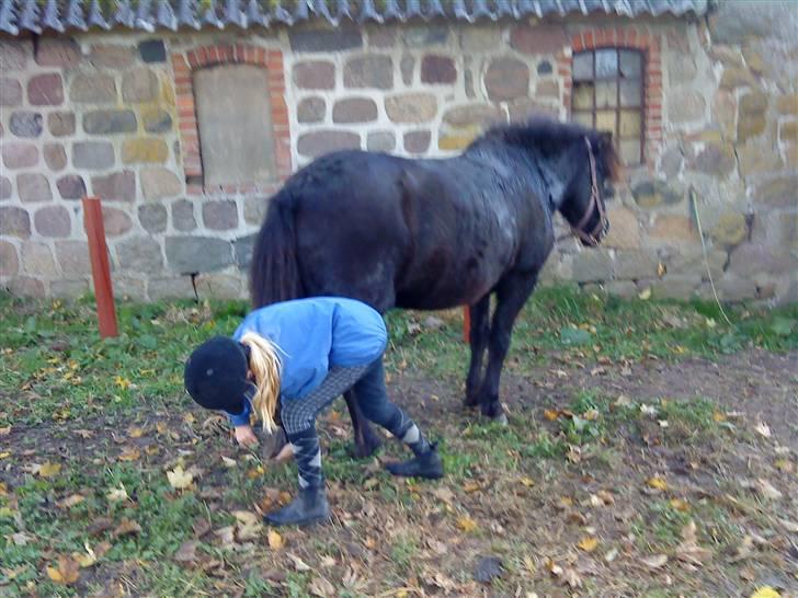 Islænder köldi<3 - så tager vi lige baghoven haha <3 billede 2