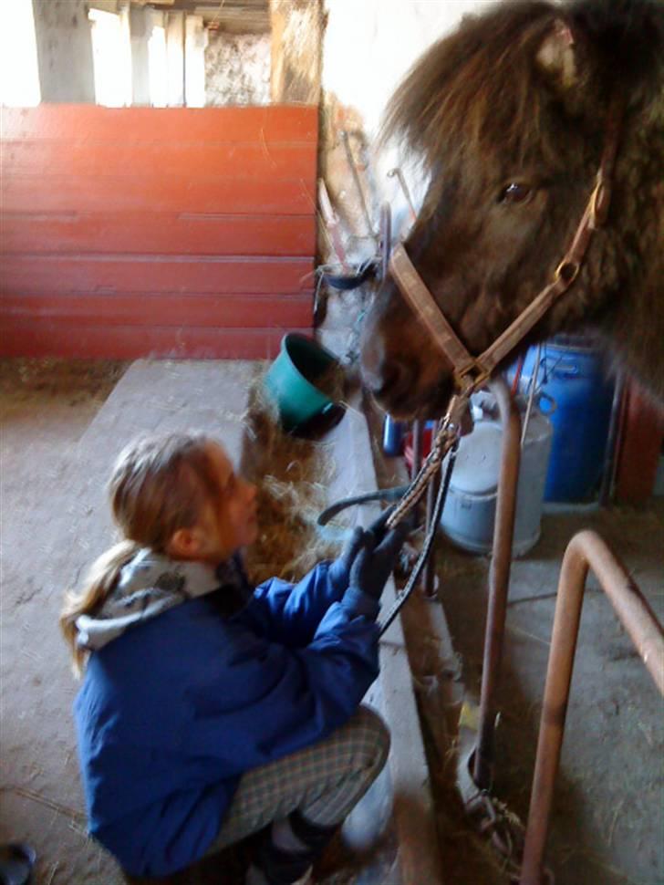 Islænder köldi<3 - Elsker det billede! billede 3