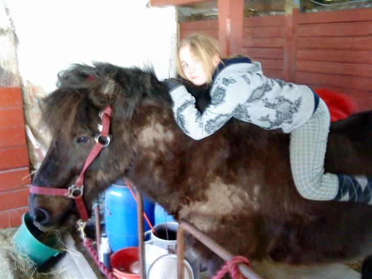 Islænder köldi<3 - Hygge<3..Du har sommereksem:´( billede 7