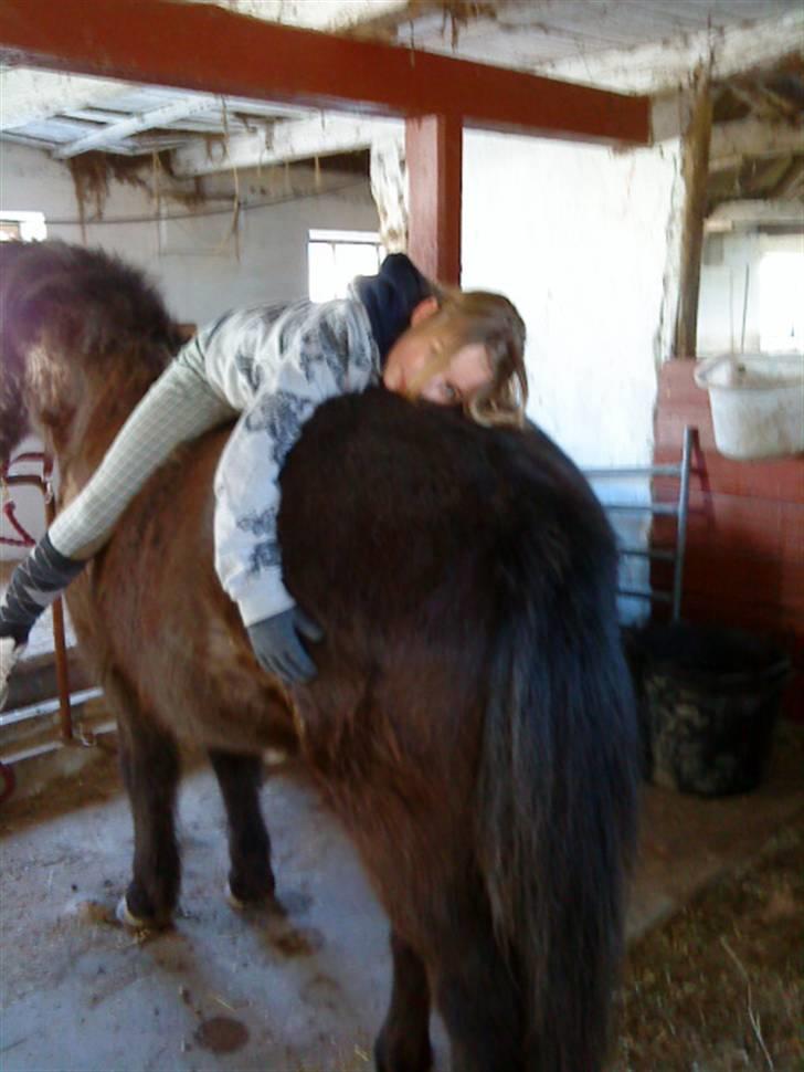 Islænder köldi<3 - ingen dig ingen mig! billede 8