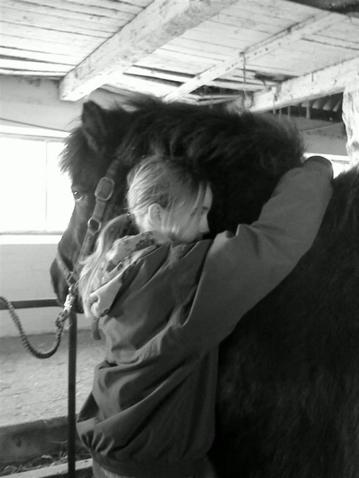 Islænder köldi<3 - hehe billede 9