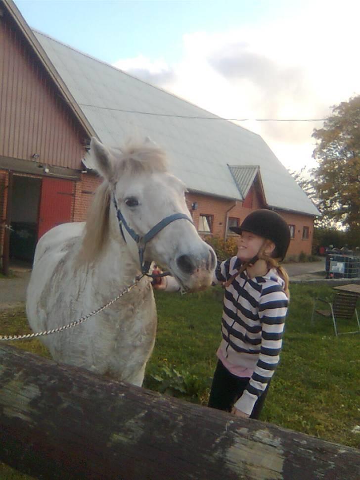 Anden særlig race Mistral  *RED ENGANG* billede 5