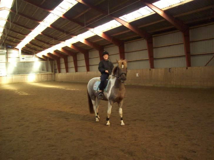 Anden særlig race Silwester R.I.P billede 20