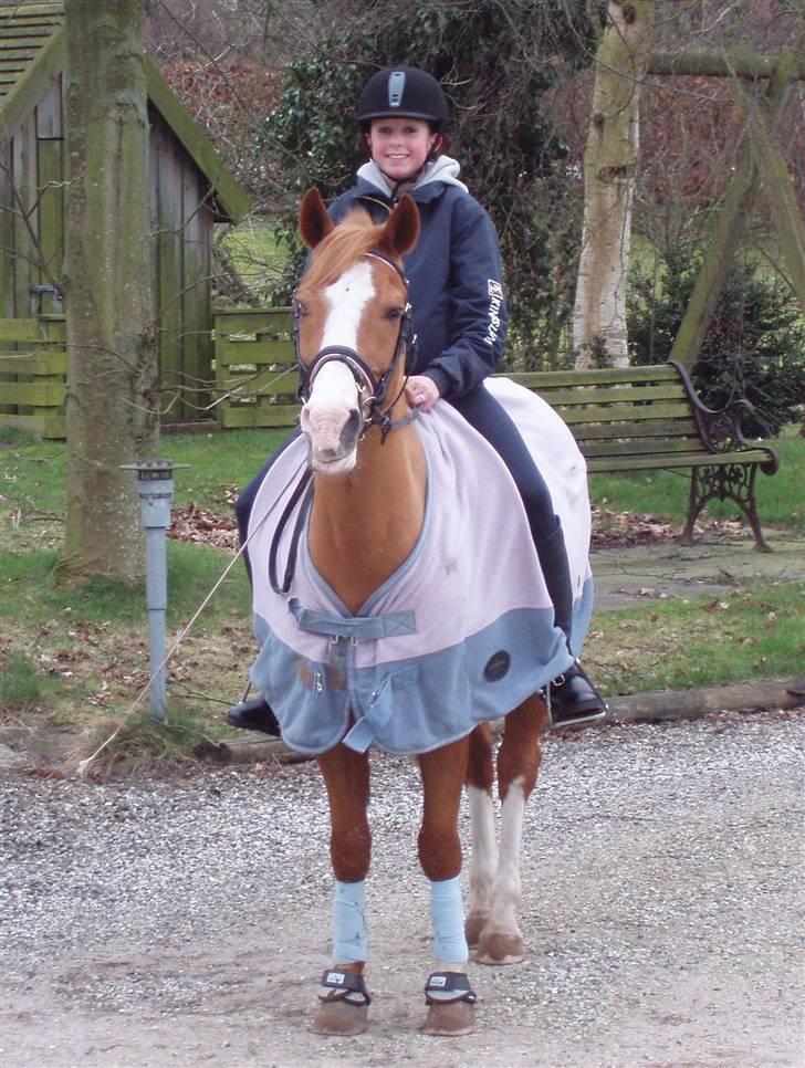 Anden særlig race Pronto- Solgt ! :) billede 8