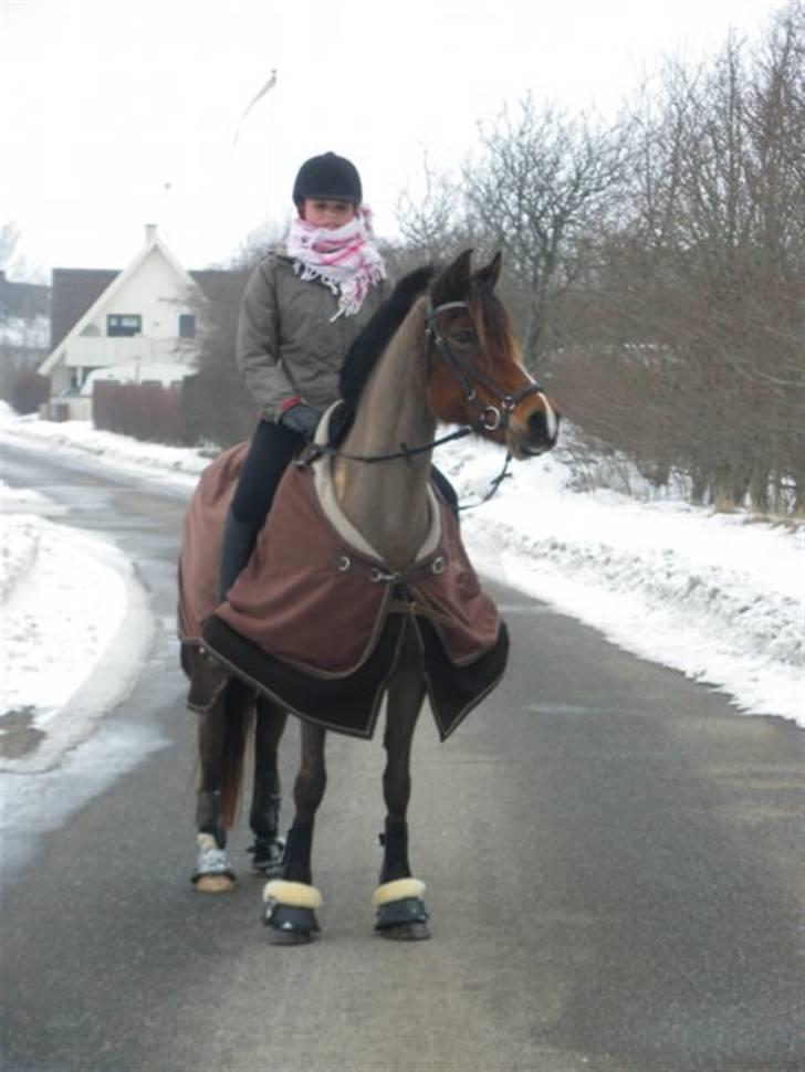 Anden særlig race Topaze's Almira Dream<3 - Velkommen :D  vores sidste dag :´(<3 inden hun bliver hentet.   billede 1