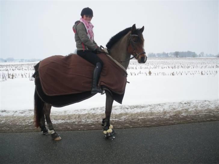 Anden særlig race Topaze's Almira Dream<3 - Almira til dressurtræning :) Galop <3 billede 3