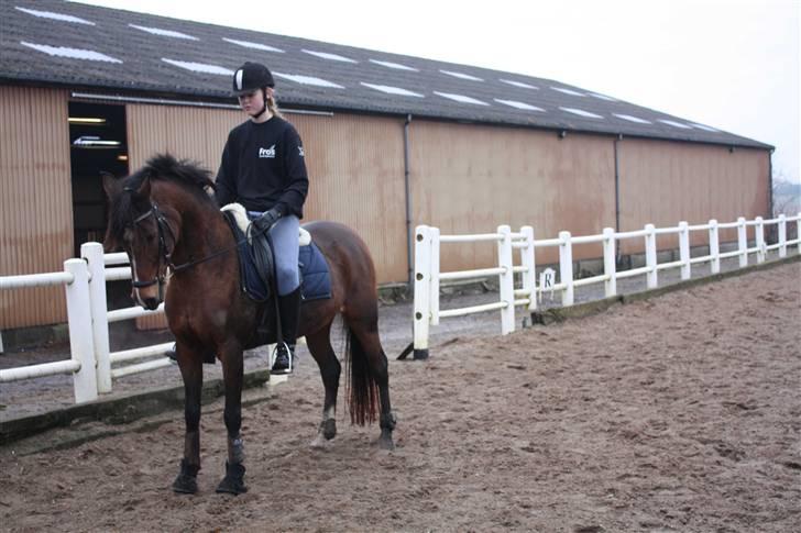 Anden særlig race Topaze's Almira Dream<3 - *NYT* Parade <3 billede 7