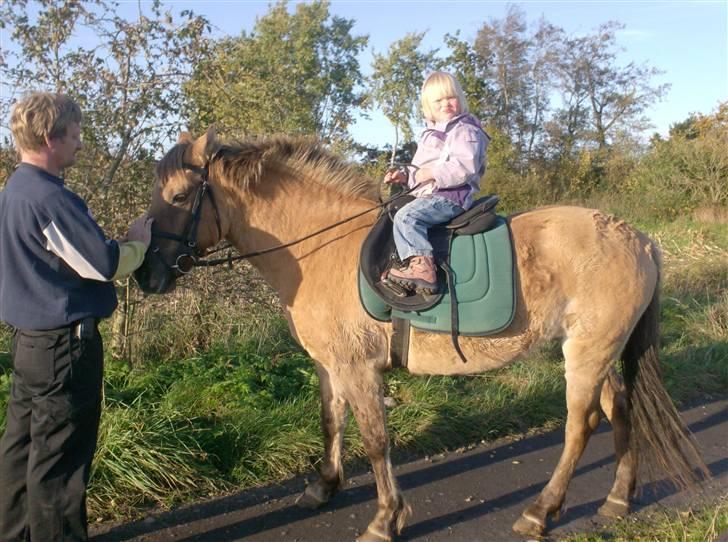 Anden særlig race MIsti "død" billede 18