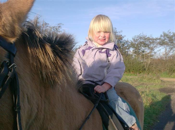 Anden særlig race MIsti "død" billede 20