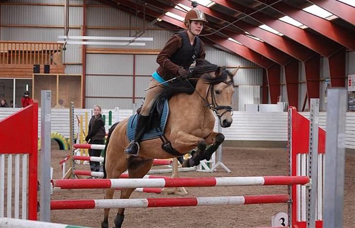 Anden særlig race Shanon B-pony - Shanon til træningsstævnet i VAS. LA. Foto af Sanne- tjek http://sk-foto.megapixel.dk billede 5