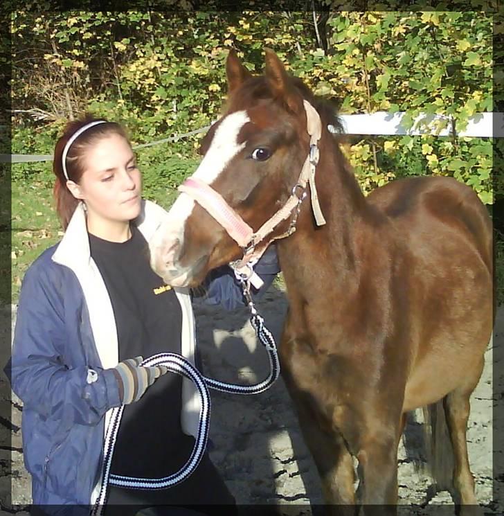 Anden særlig race Magnifique <3 SOLGT! billede 4