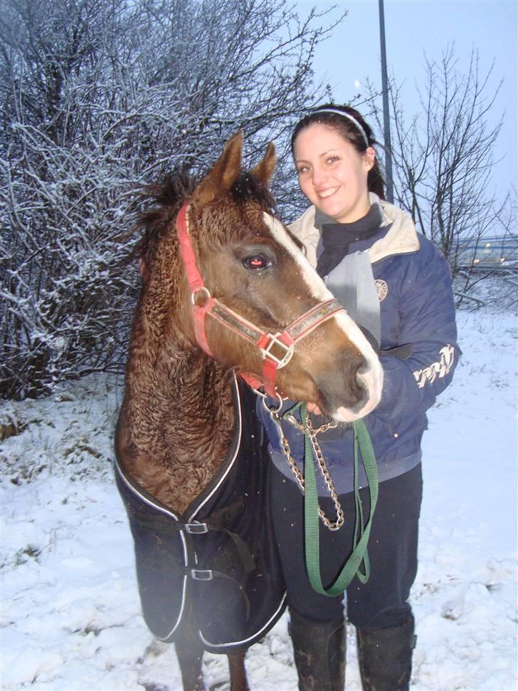 Anden særlig race Magnifique <3 SOLGT! billede 5