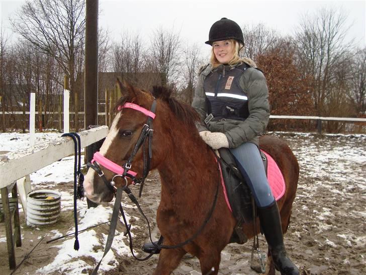 Anden særlig race Magnifique <3 SOLGT! - aller første gang med rytter :-) billede 6