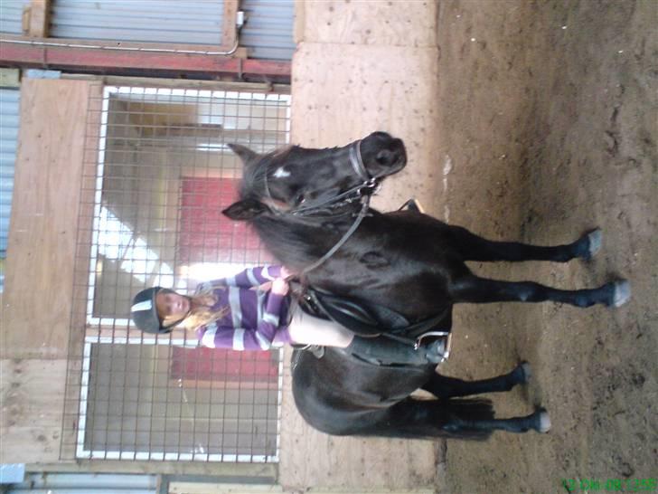 Anden særlig race Shiva <3 - Det er bare sjovt det her... billede 16