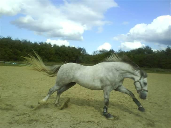 Connemara Banks Miro billede 18