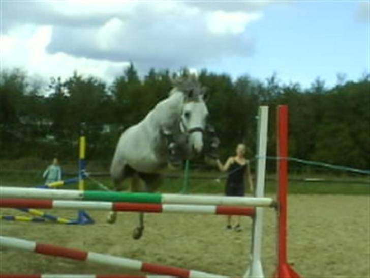 Connemara Banks Miro billede 19