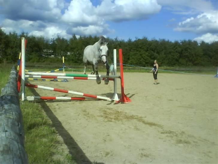 Connemara Banks Miro billede 20