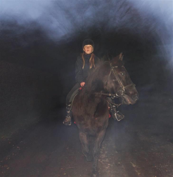 Anden særlig race Thor <3 Love ya' <3 Part  - Hejsa og velkommen til Thorsens profil <333  (Billedet er IKKE redigeret) Foto: Tatti <3 Tak ;) billede 1