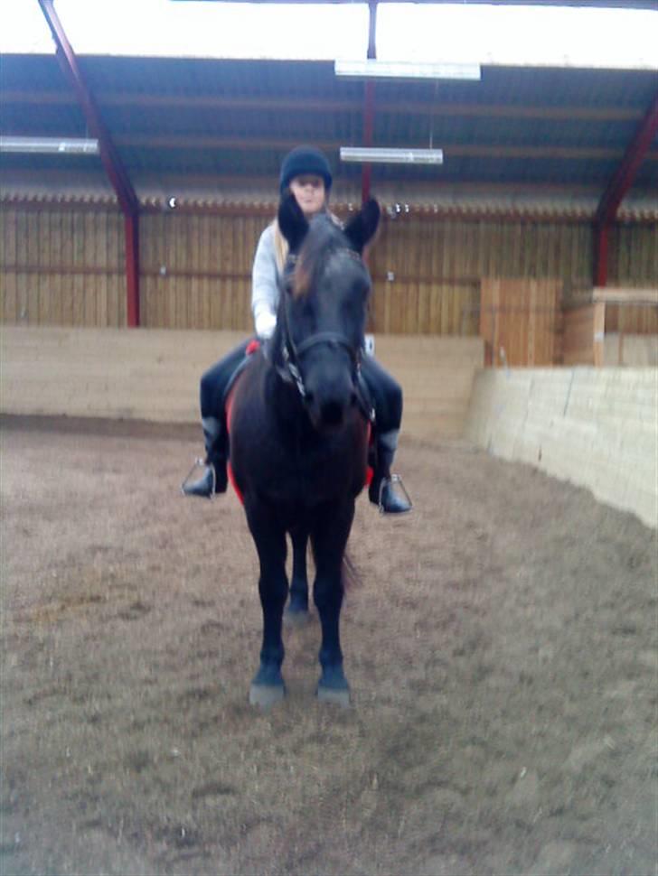 Anden særlig race Thor <3 Love ya' <3 Part  - Rider <3 ;)  (beklager kvaliteten) Foto: Nikoline <3 Tak (; billede 3
